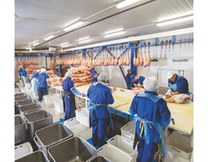 Sani-Flex™ 526 - Antimicrobial Anti-Fatigue Mat - Image 4